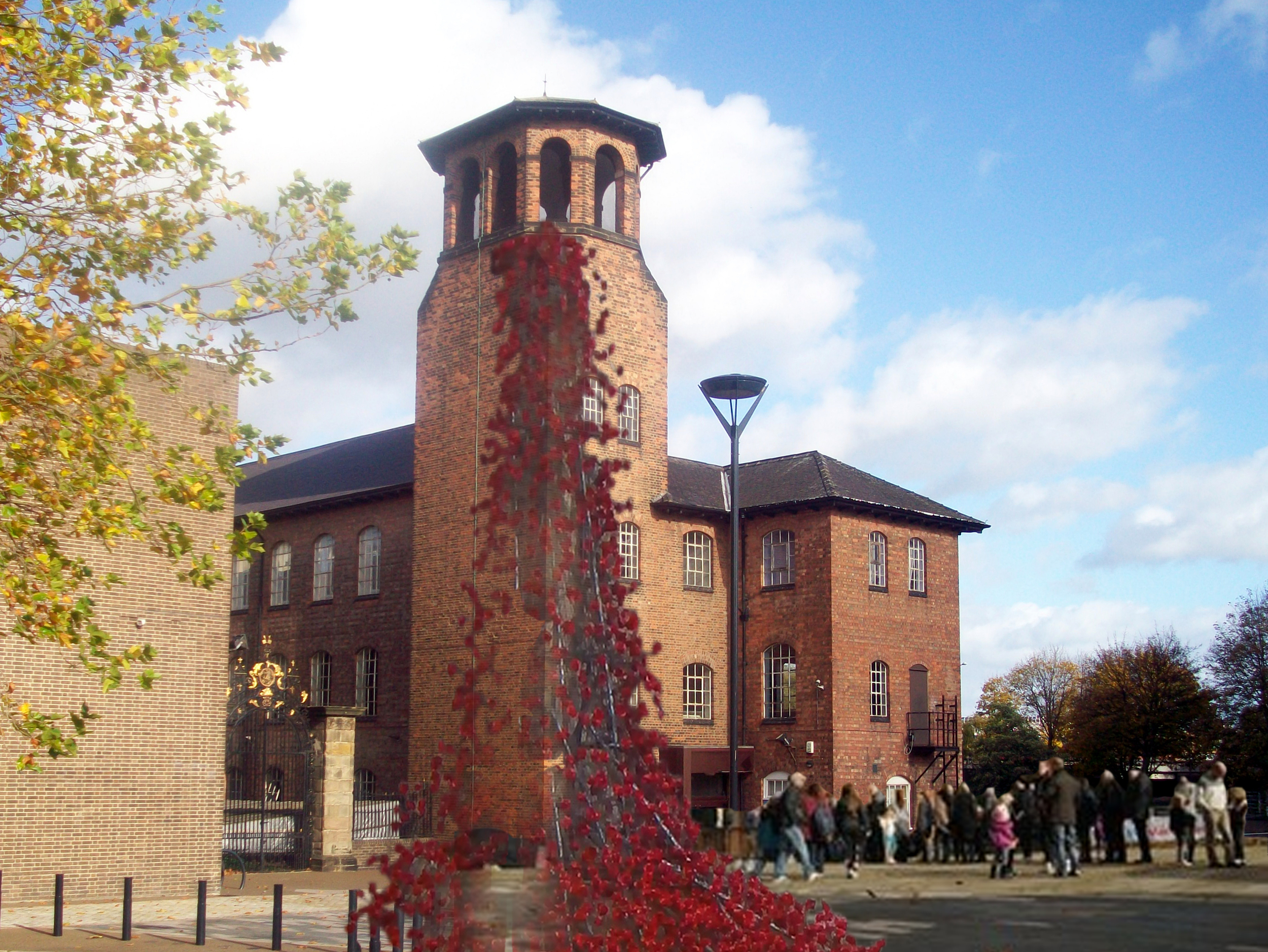 Bid to bring poppies back to Derby