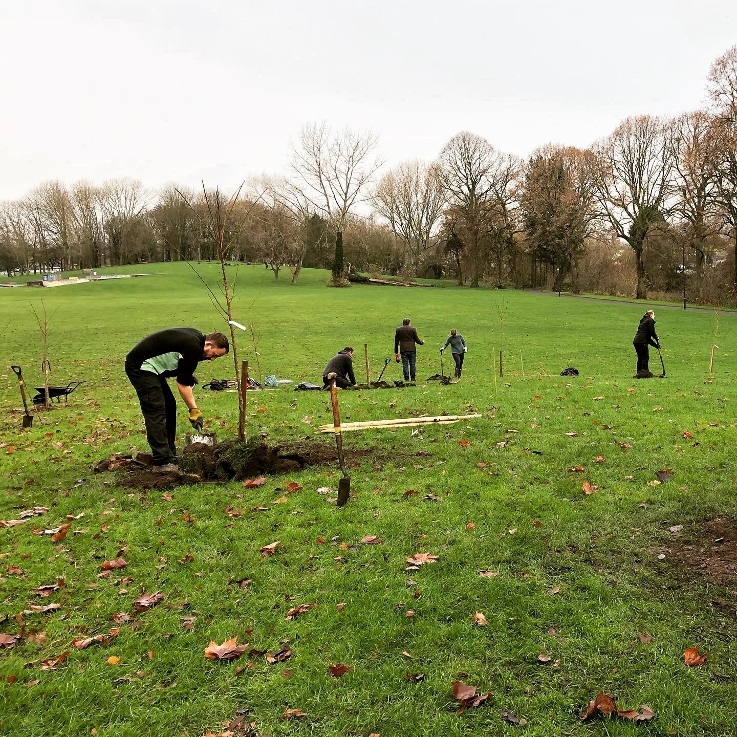 Derby&apos;s partnership with Toyota takes root in city park