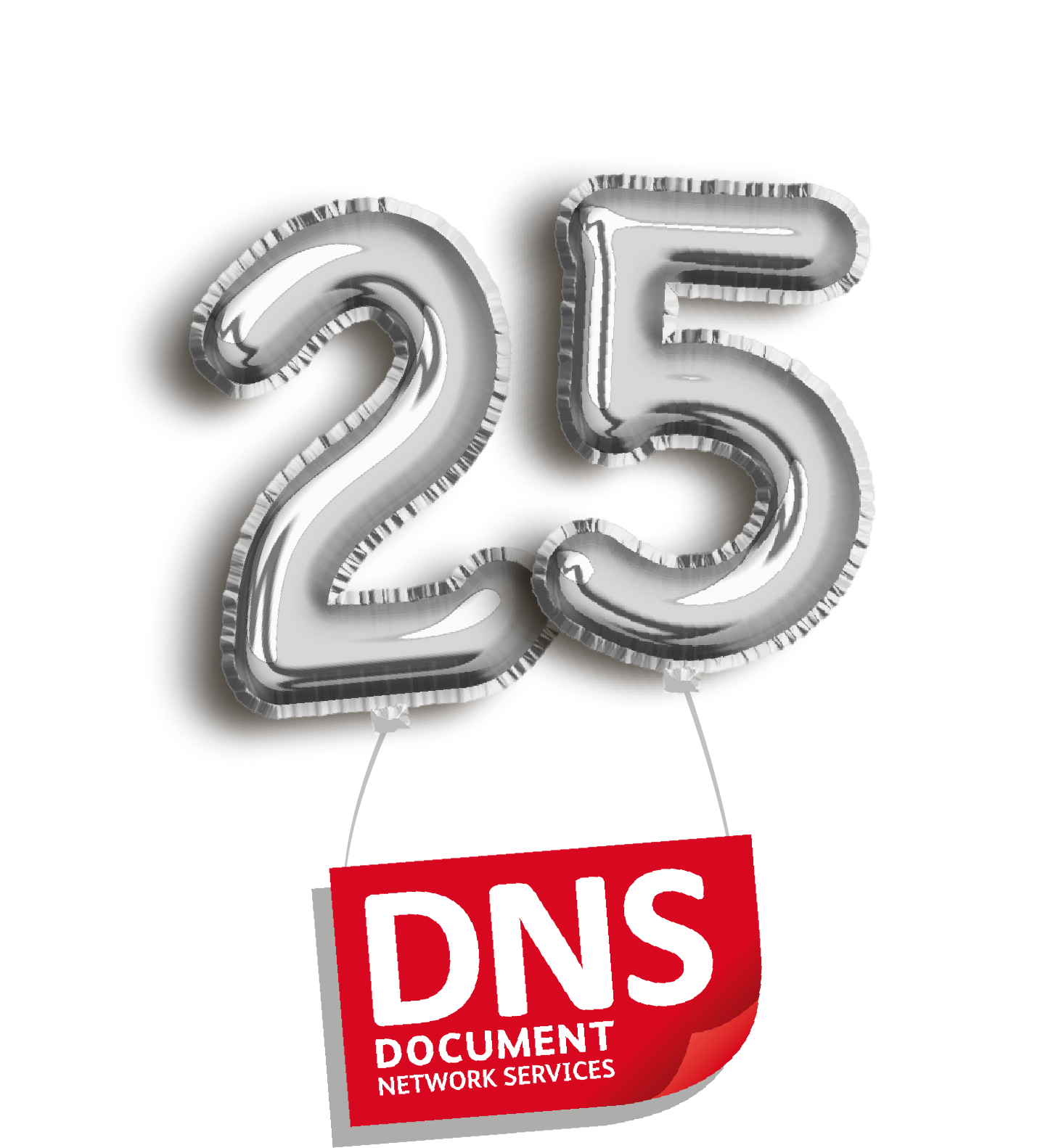 DNS toasts quarter of a century in business