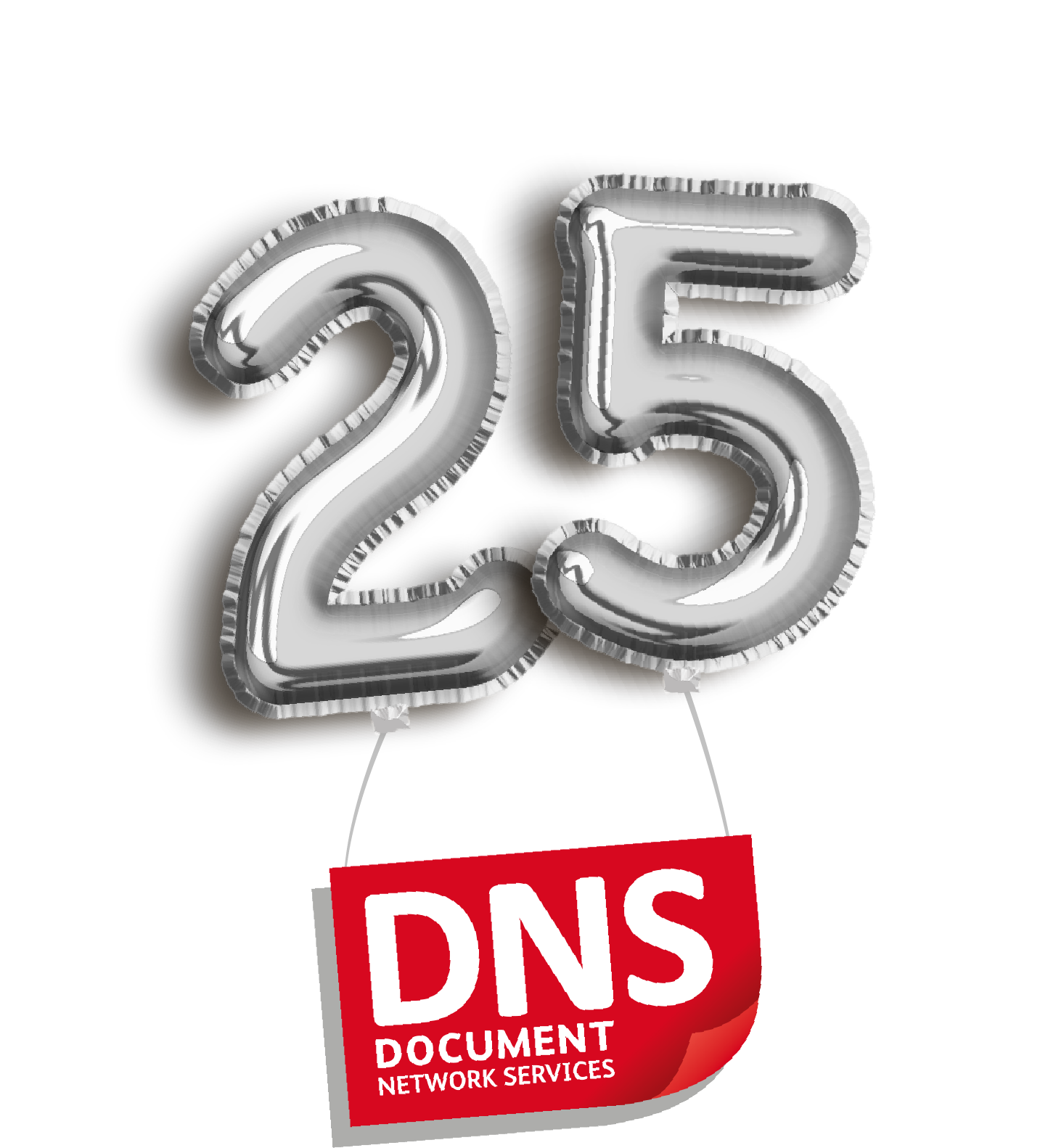 DNS toasts quarter of a century in business