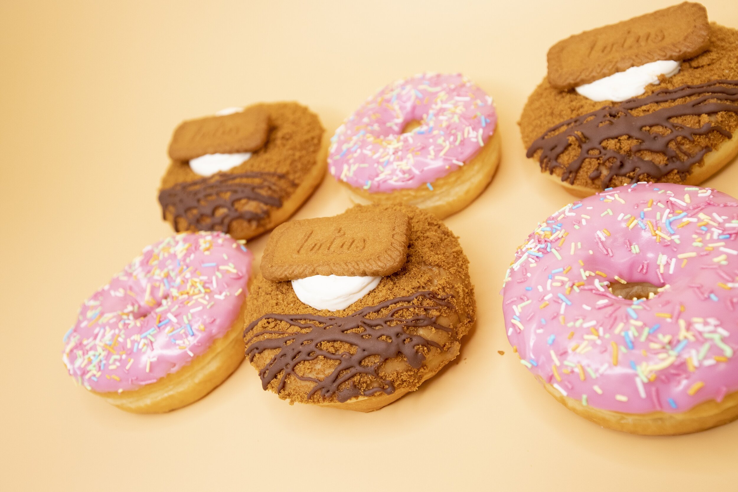 Lotus_and_homer_6_pack_3_-_WEB_IMAGE.jpg