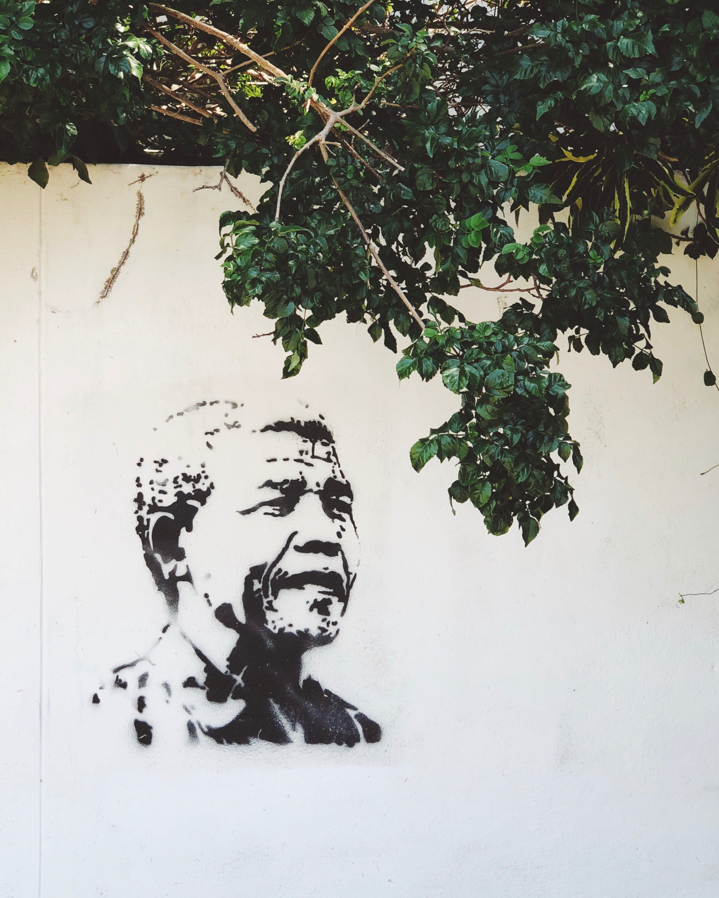 Nelson Mandela illustation
