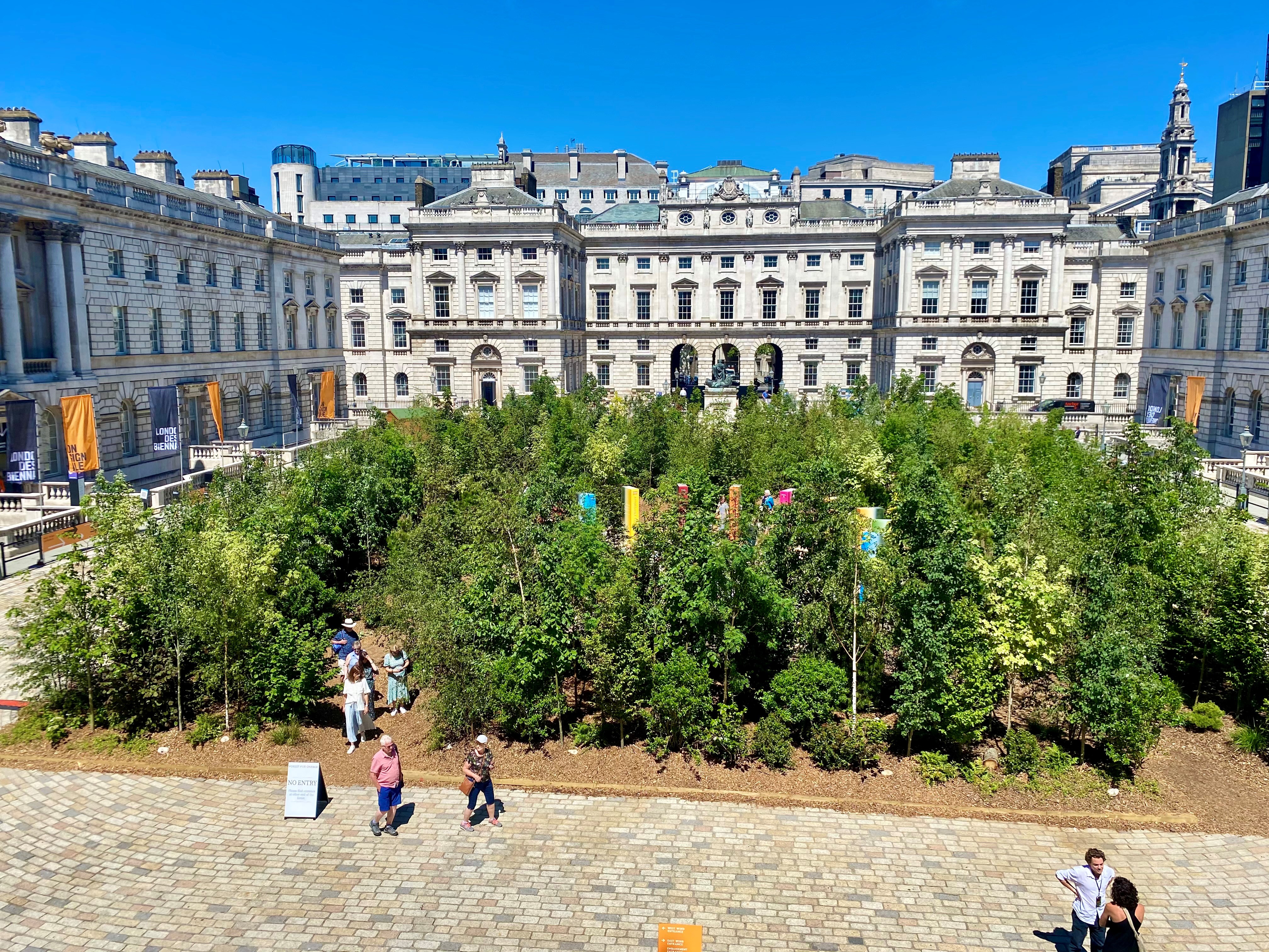 Market Place to be transformed into woodland wonderland