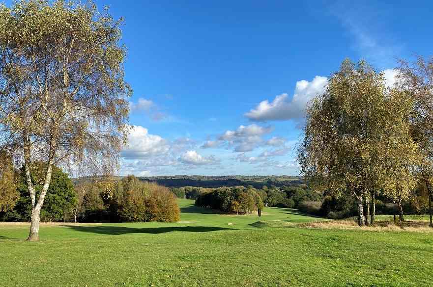 UK’s largest urban rewilding space plan to be discussed