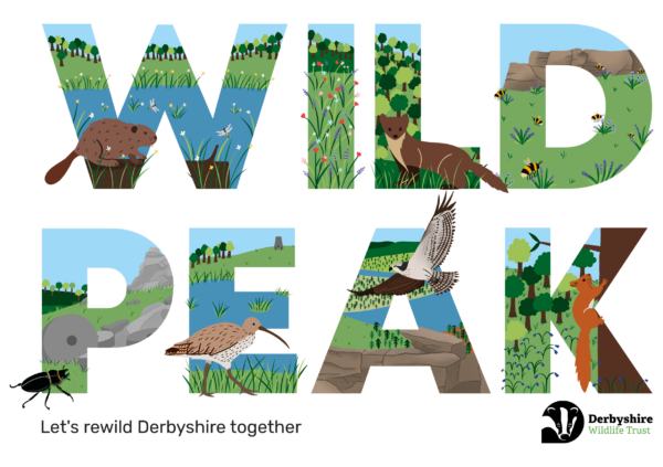 Trust launches network to improve county’s landscape