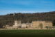 Major tree replanting scheme underway at Chatsworth