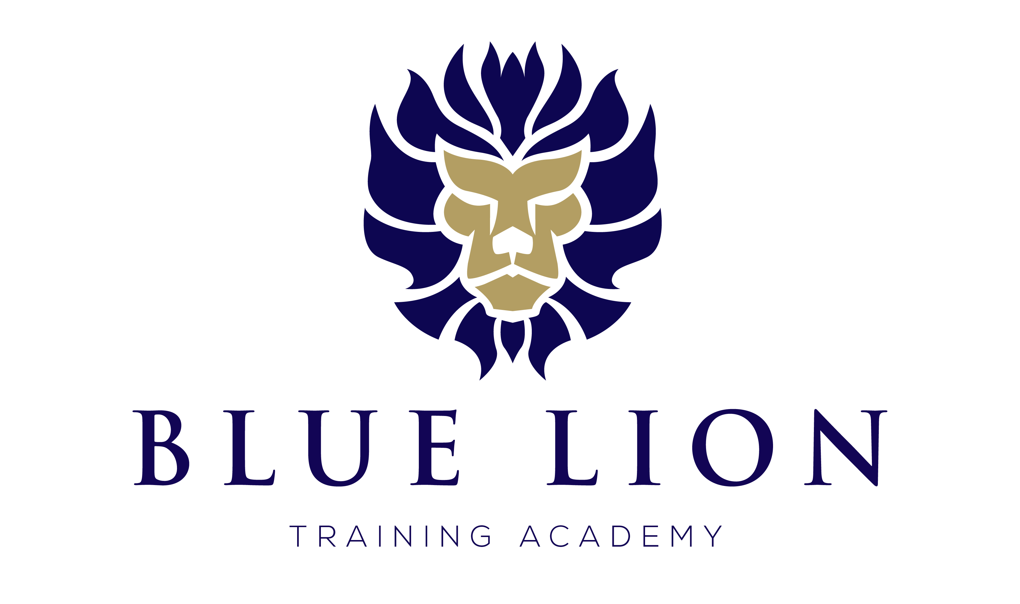 Blue Lion Training Academy Limited Marketing Derby Blue Lion Training Academy Limited Marketing Derby