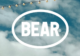 BEAR lifts lid on new branding