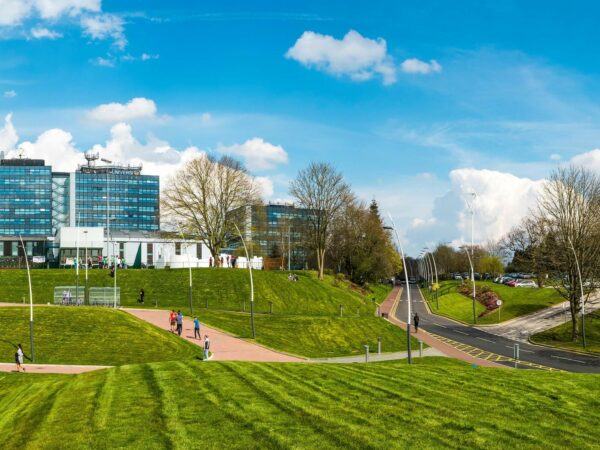 University academics join list of top scientists