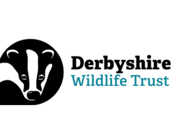 Trust named one of UK’s best places to work