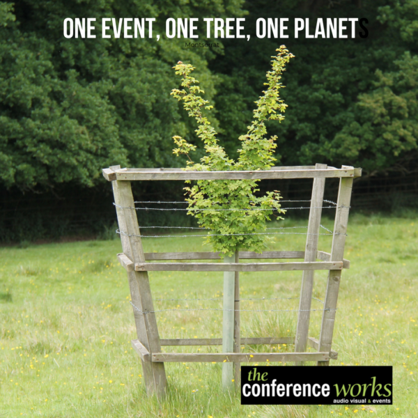 Firm launches tree-mendous initiative