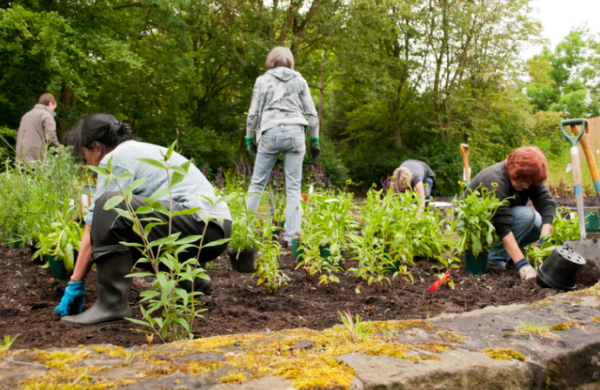 Nature projects benefit from community fund cash