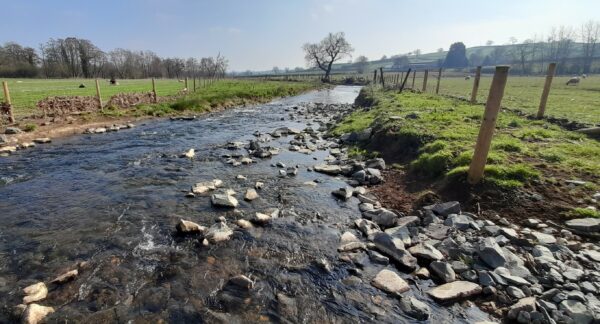 Trust’s salmon project helps river take a leap forward