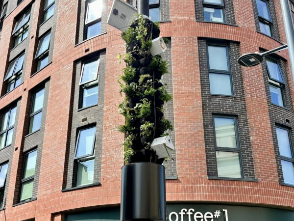 Pillars of support for Derby’s biodiversity