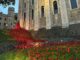 Derbyshire artist gives first-hand insight into poppies tribute