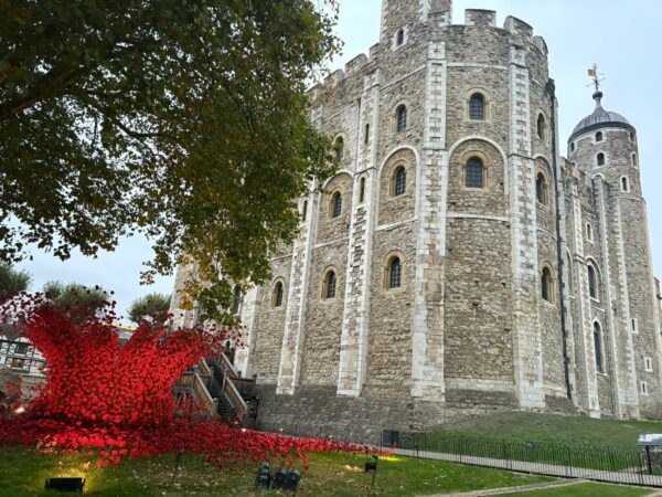 Derbyshire artist gives first-hand insight into poppies tribute