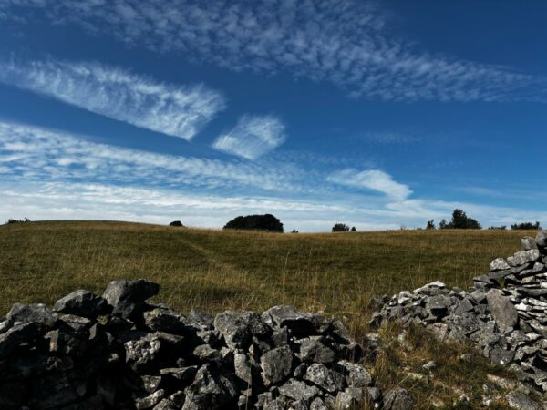 Trust’s delight as £1m-plus moorland fundraising appeal hits target