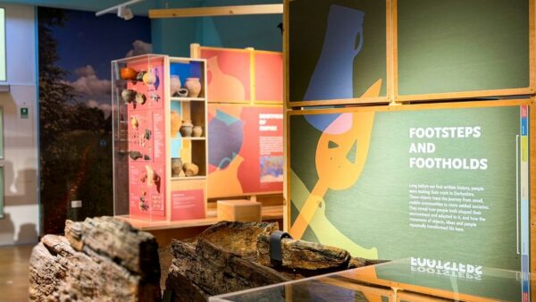 Museum’s new exhibition marks major gallery overhaul