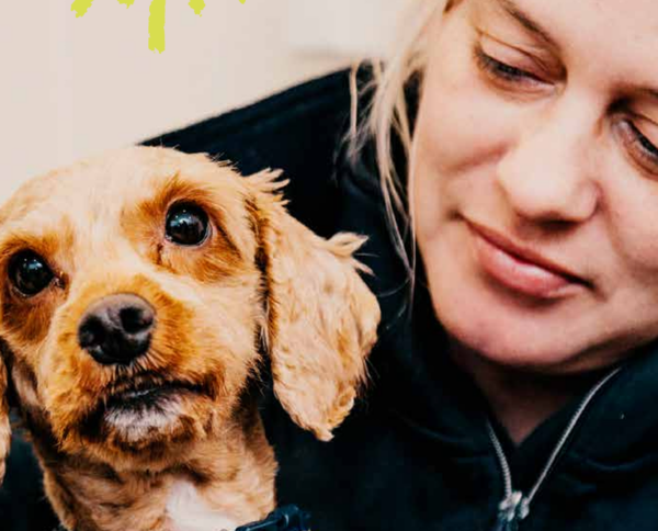 Meet the team dedicated to finding animals fur-ever homes