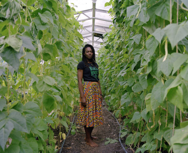 New photographic exhibition gives food for thought