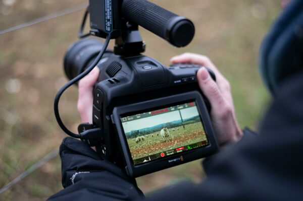 University’s research supports more nature on TV campaign