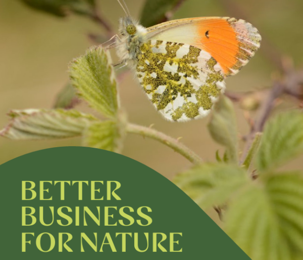 New report and toolkit shows how firms can grow greener