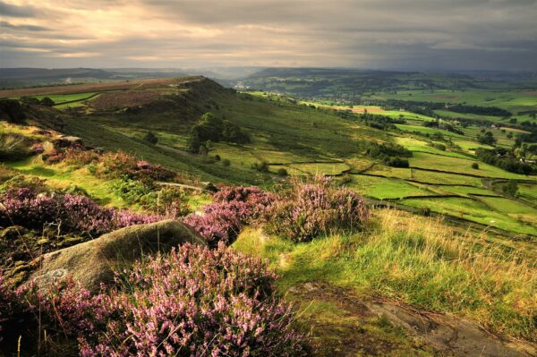 Trust’s appeal aims to restore Peak District wildlife habitats