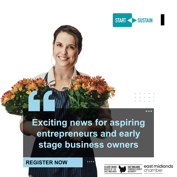 New programme aims to helm fledgling firms