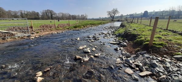 Trust welcomes landmark river restoration analysis