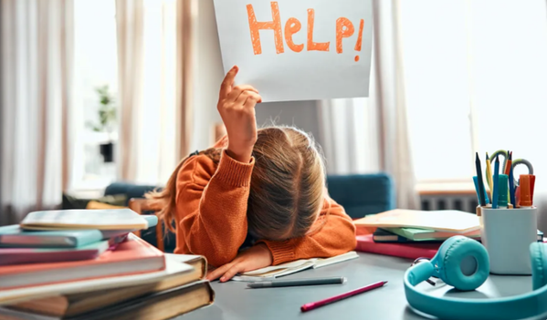 Education specialist launches offers to strengthen inclusion